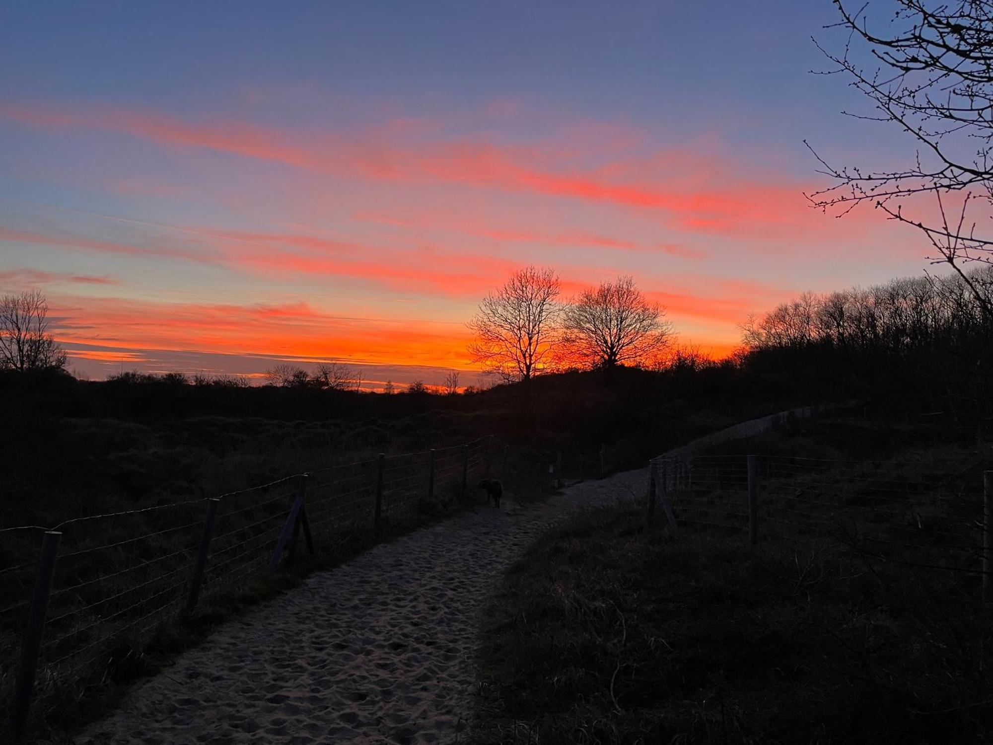 Logies La Parmentiere De Panne Exterior foto