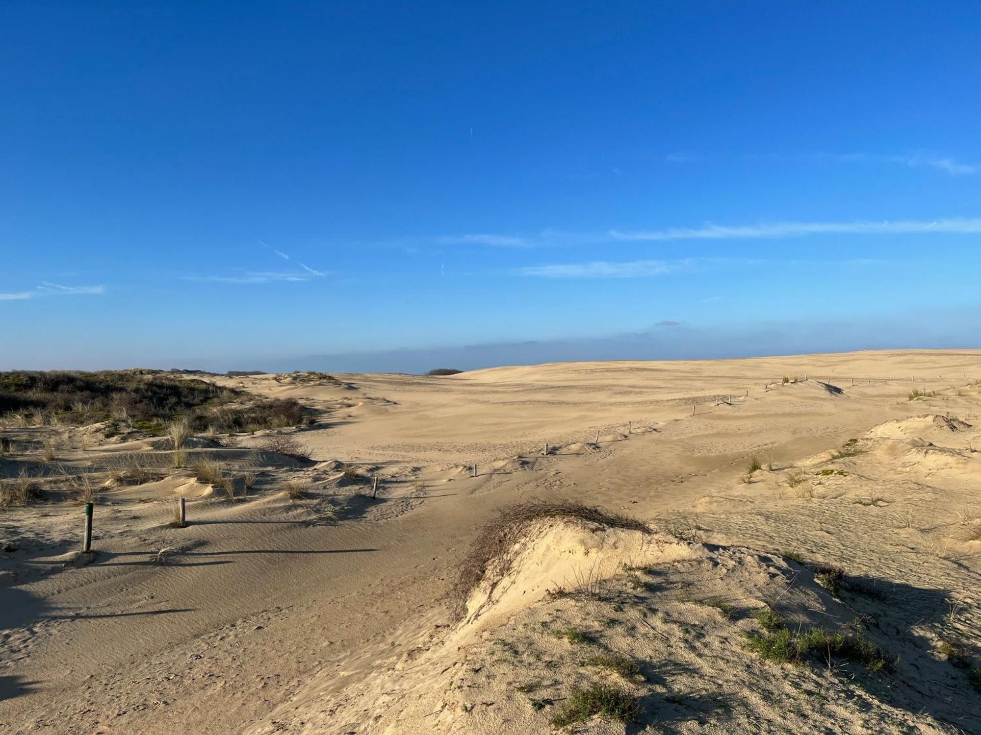 Logies La Parmentiere De Panne Exterior foto