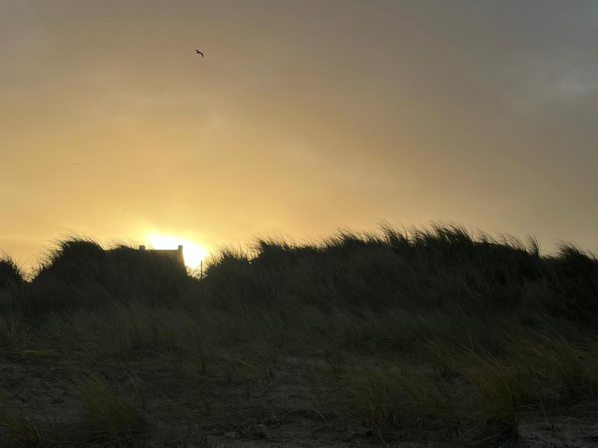 Logies La Parmentiere De Panne Exterior foto