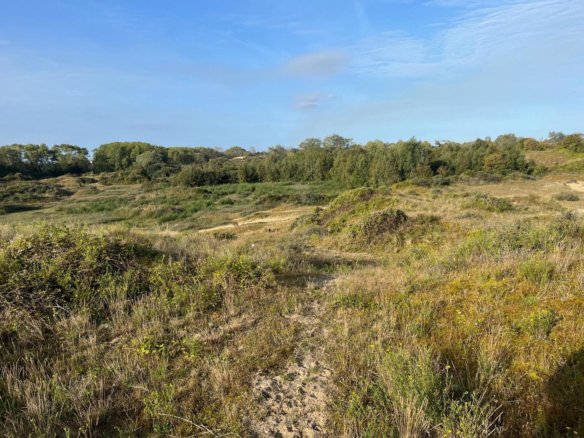 Logies La Parmentiere De Panne Exterior foto